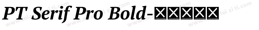 PT Serif Pro Bold字体转换